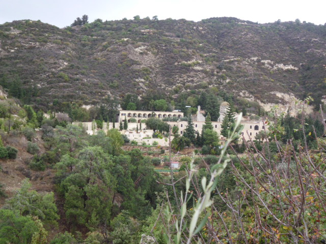 recent photo