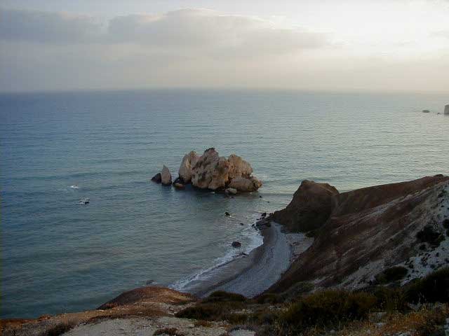 recent photo